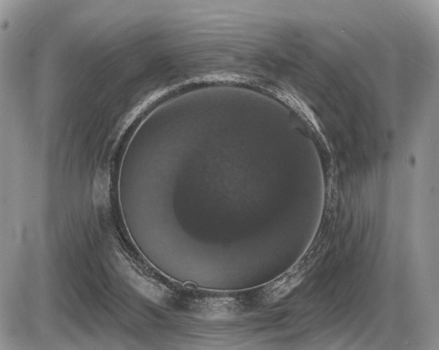 X0000087410108200704201411