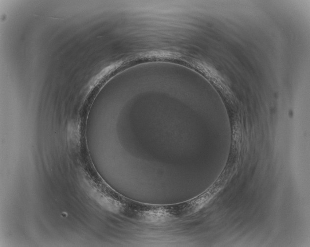 X0000087410112200704201411