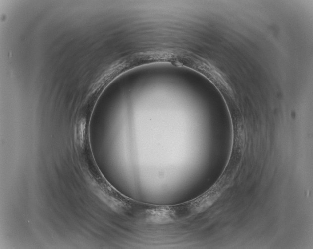 X0000087410118200704201410