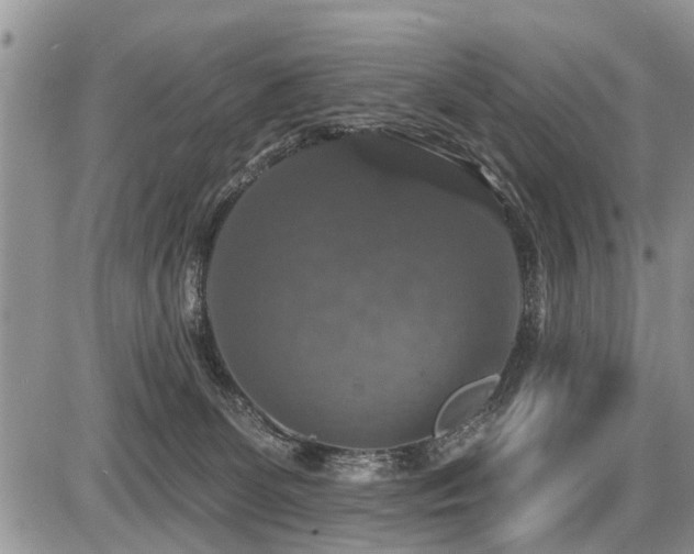 X0000087410131200704201410