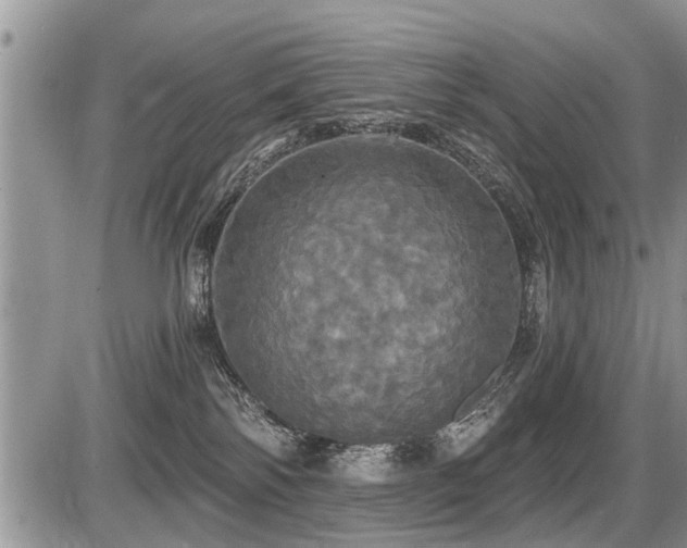 X0000087410138200704201410