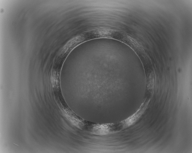X0000087410140200704201410