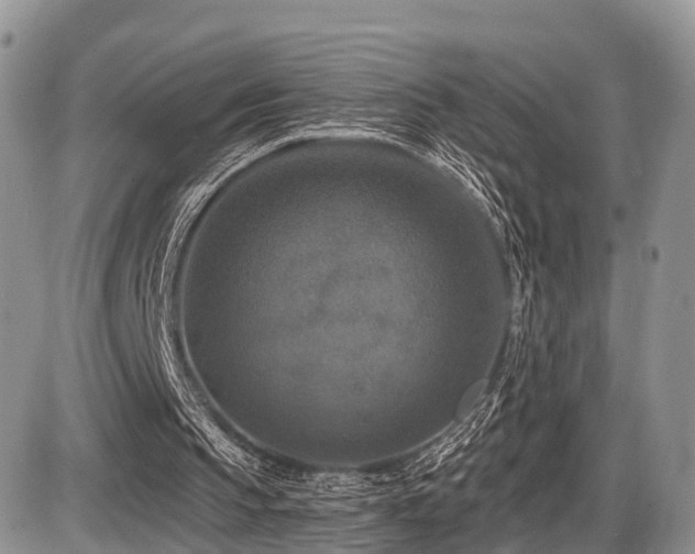 X0000087410145200704201409