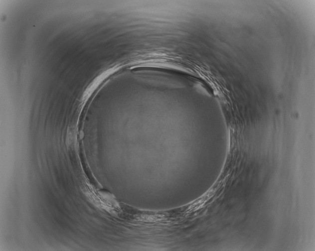 X0000087410147200704201409