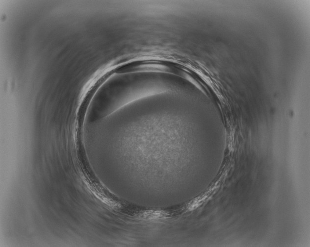 X0000087410152200704201409