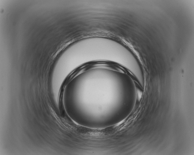 X0000087410154200704201409
