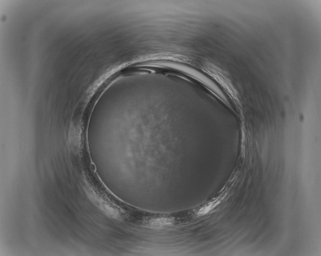 X0000087410156200704201409