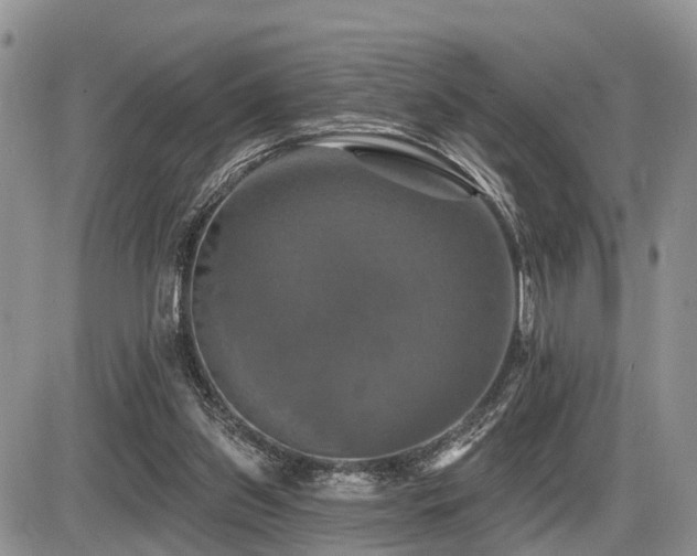 X0000087410157200704201409