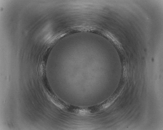 X0000087410165200704201410