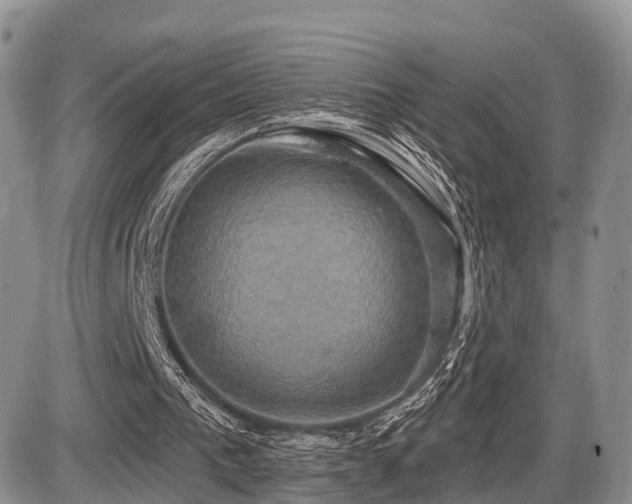 X0000087410193200704201409