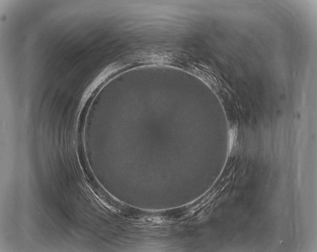 X0000087410195200704201409