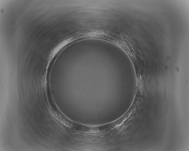 X0000087410196200704201409