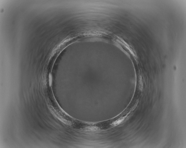 X0000087410203200704201409