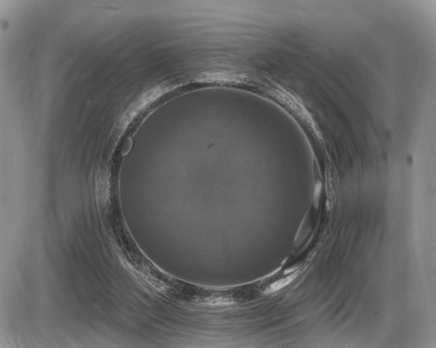 X0000087410204200704201409