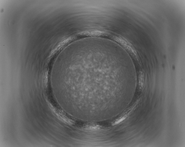 X0000087410206200704201409