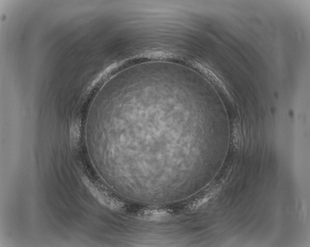 X0000087410208200704201409