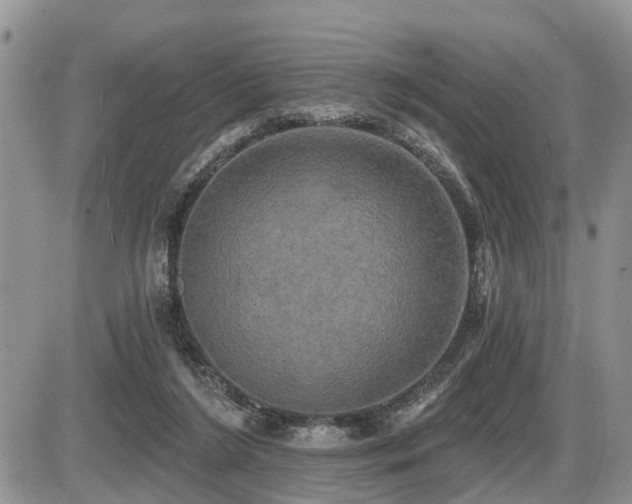 X0000087410212200704201409