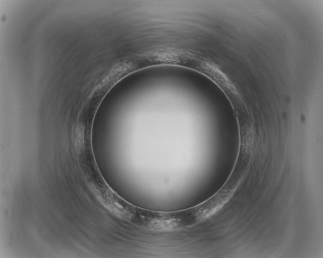 X0000087410213200704201409