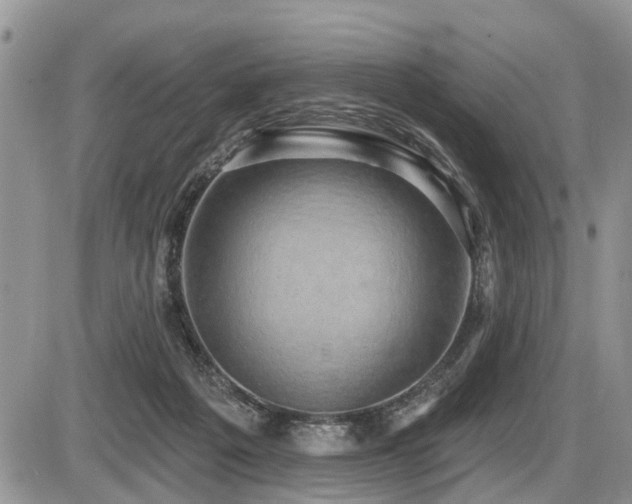 X0000087410217200704201409