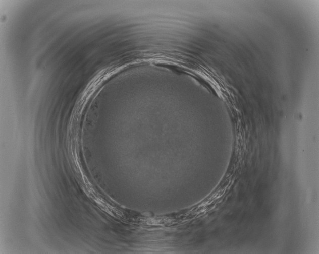 X0000087410241200704201408