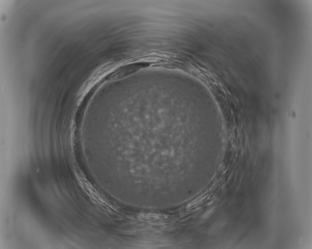 X0000087410242200704201408