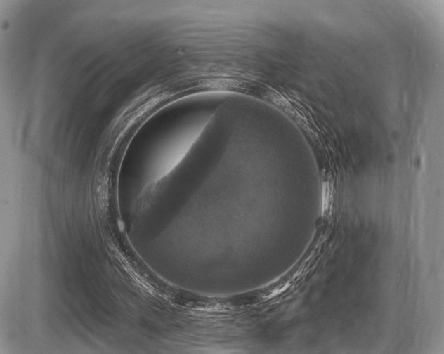 X0000087410243200704201408