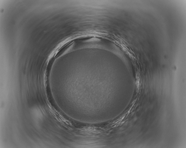 X0000087410244200704201408