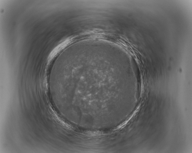 X0000087410245200704201408