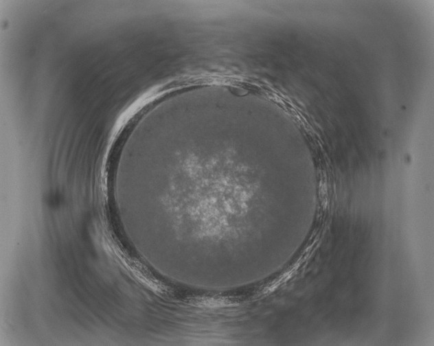 X0000087410246200704201408