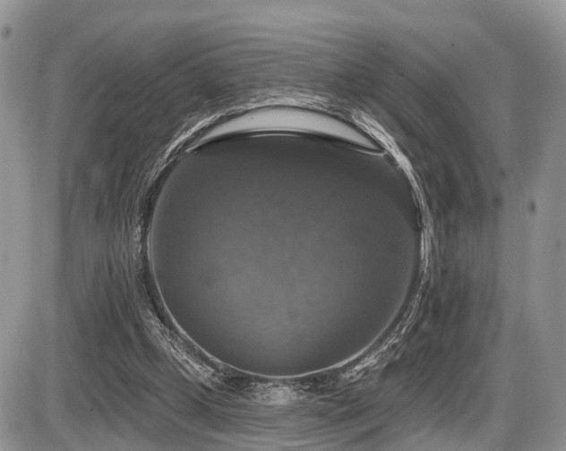X0000087410249200704201408