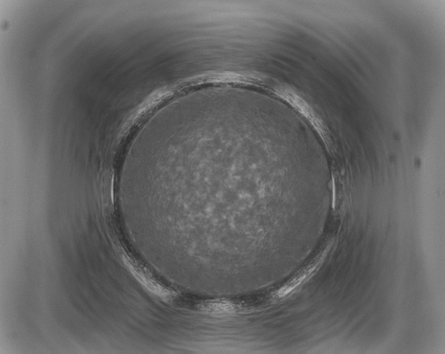 X0000087410253200704201408
