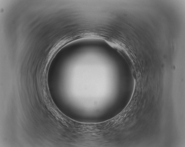 X0000087410289200704201408