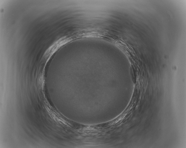 X0000087410290200704201408