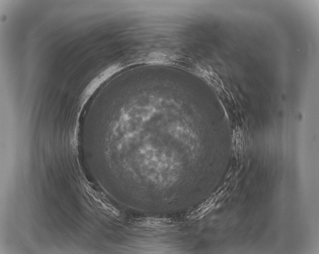 X0000087410292200704201408