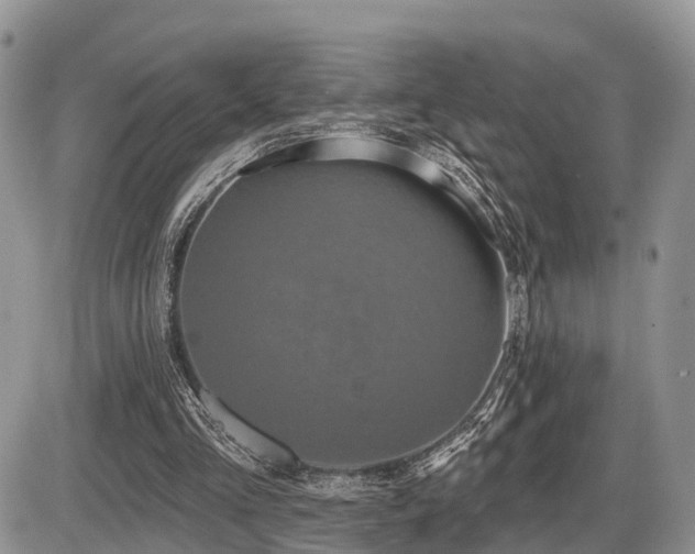 X0000087410293200704201408