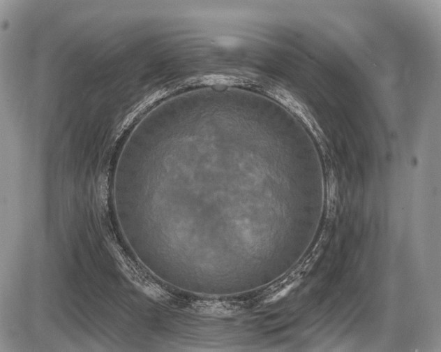 X0000087410297200704201408