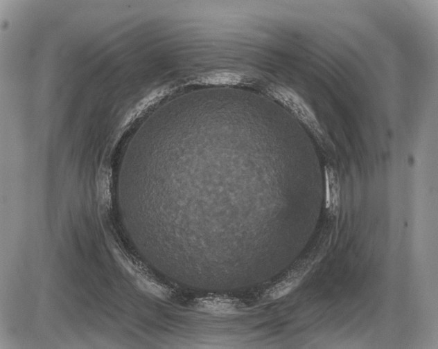 X0000087410300200704201408