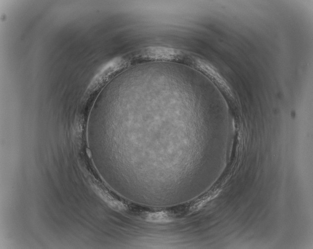 X0000087410309200704201407