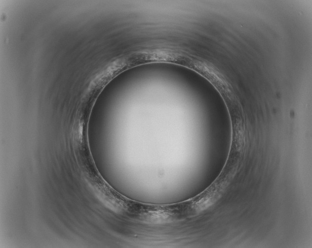 X0000087410310200704201407