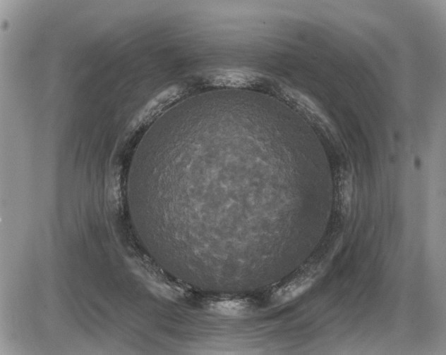 X0000087410312200704201407