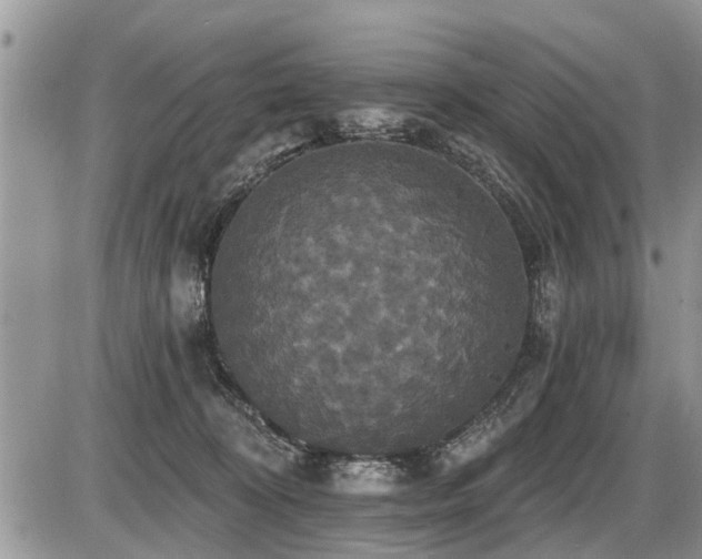 X0000087410324200704201407