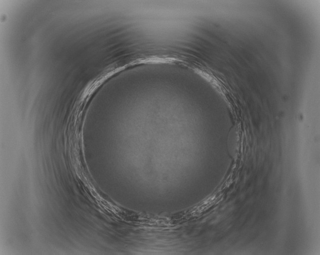 X0000087410337200704201406