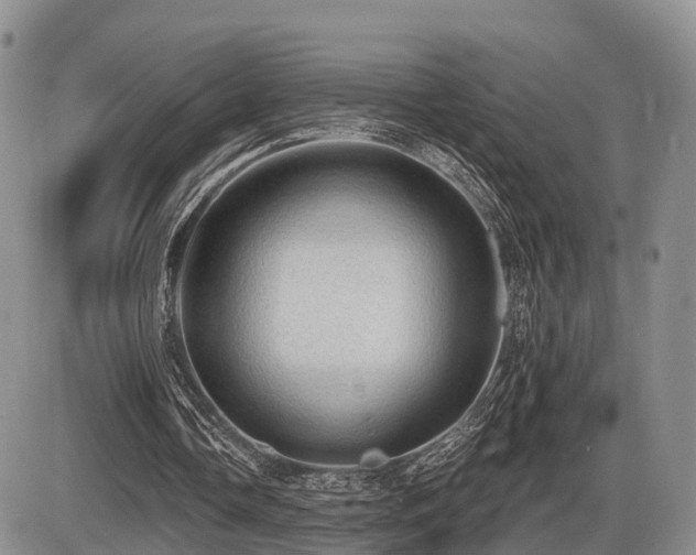 X0000087410338200704201406