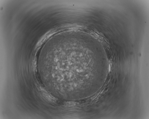 X0000087410339200704201406