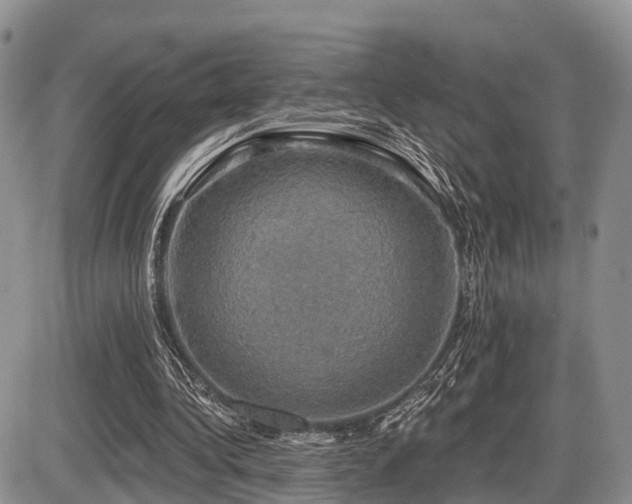 X0000087410340200704201406