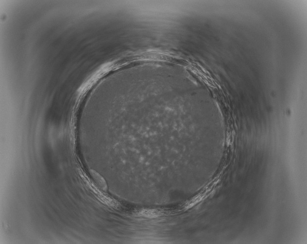 X0000087410341200704201406