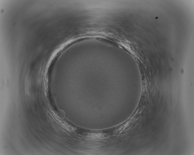 X0000087410342200704201406