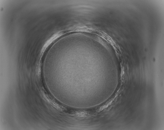 X0000087410344200704201406