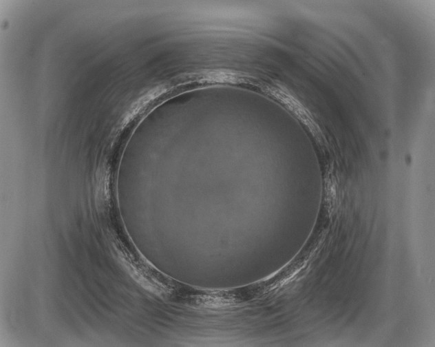 X0000087410347200704201406
