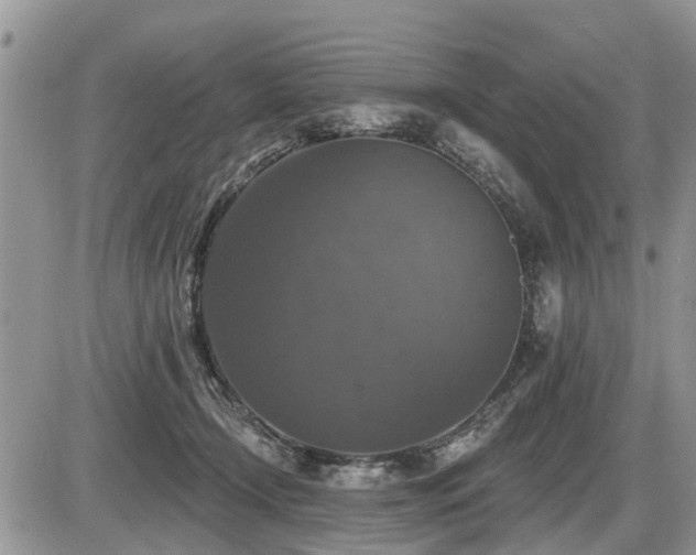 X0000087410366200704201407